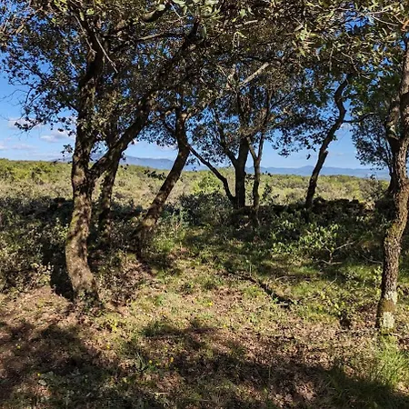 Κάμπινγκ Grignan Glamping 2 -4 People Exceptional View *