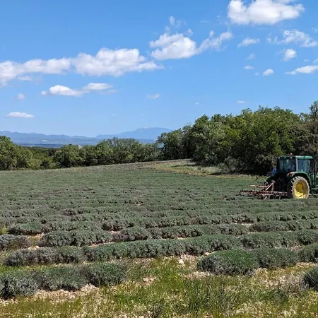 Grignan Glamping 2 -4 People Exceptional View Κάμπινγκ *