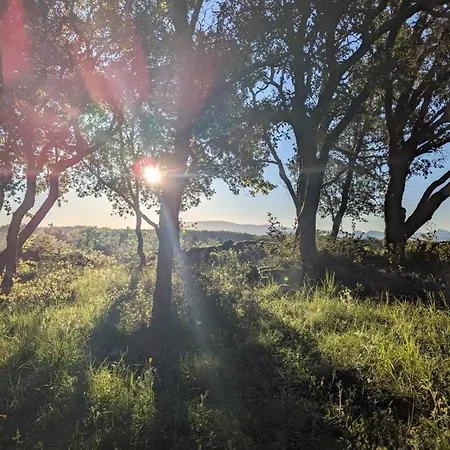 Camping Grignan Glamping 2 -4 People Exceptional View